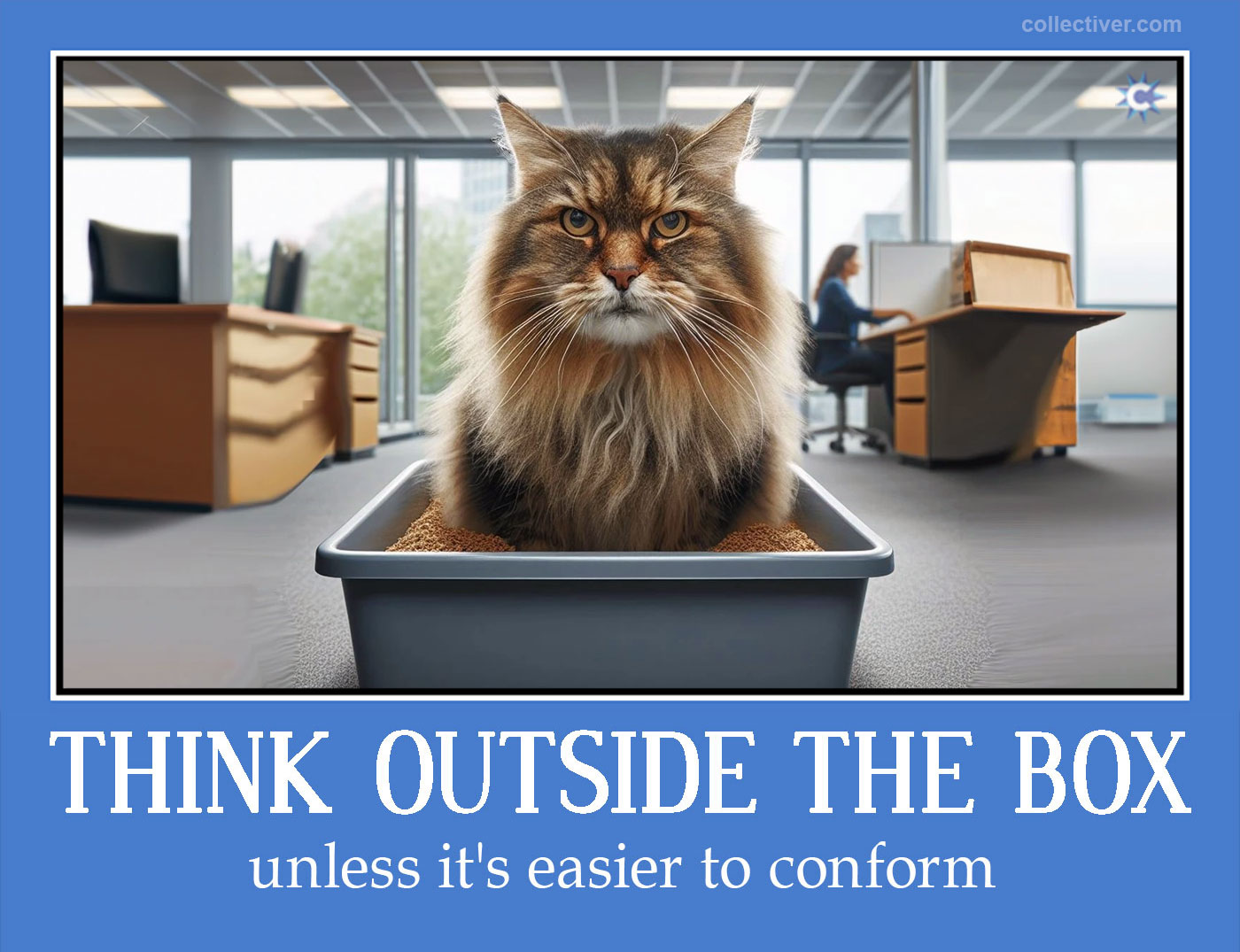 "Think Outside the Box!" (de)motivational poster